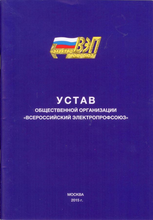 Устав молодежной общественной организации. Устав общественного объединения. Устав социального учреждения. Типовой устав общественной организации.